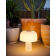 Lampe champignon solaire Design Boleti