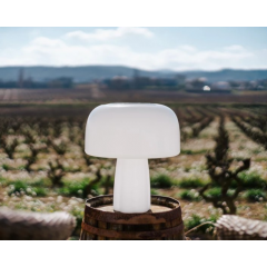 Lampe champignon solaire Design Boleti