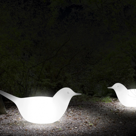 Oiseau lumineux Design Paloma