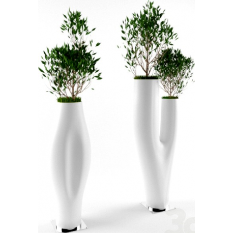 Pot grande hauteur Design Missed Tree