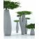 Pot grande hauteur Design Missed Tree