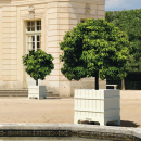 Jardinière de mobilier urbain Design Versailles